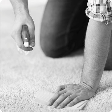 photo of a female cleaner putting on gloves