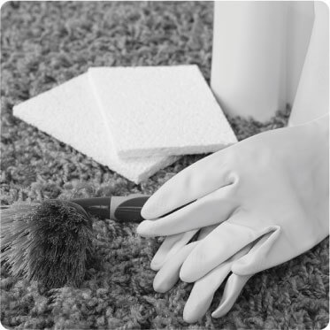 photo of two female cleaners doing work