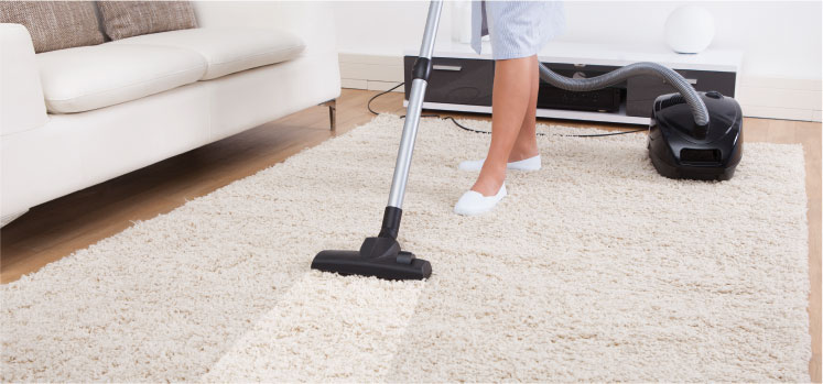 photo of a cleaner cleaning a rug with a vacuum cleaner