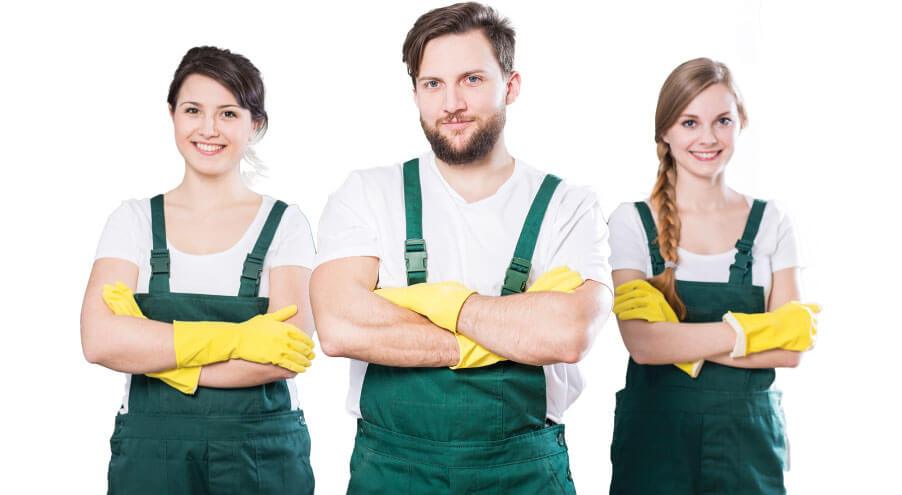 a photo of three cleaners ready for work