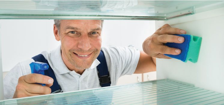 photo of a cleaner cleaning the insides of a fridge