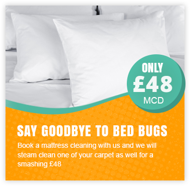 Promotional Prices for Mattress and Carpet Cleaning