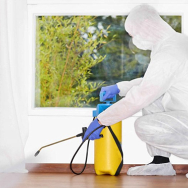 photo of a female cleaner putting on gloves