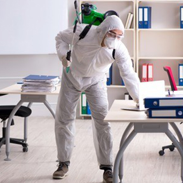 photo of two female cleaners doing work