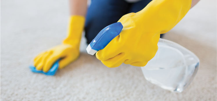 image of a cleaner cleaning a rug