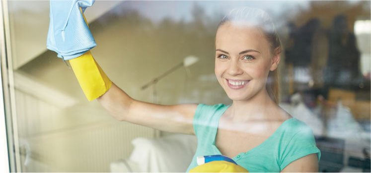 image of a cleaner cleaning a rug