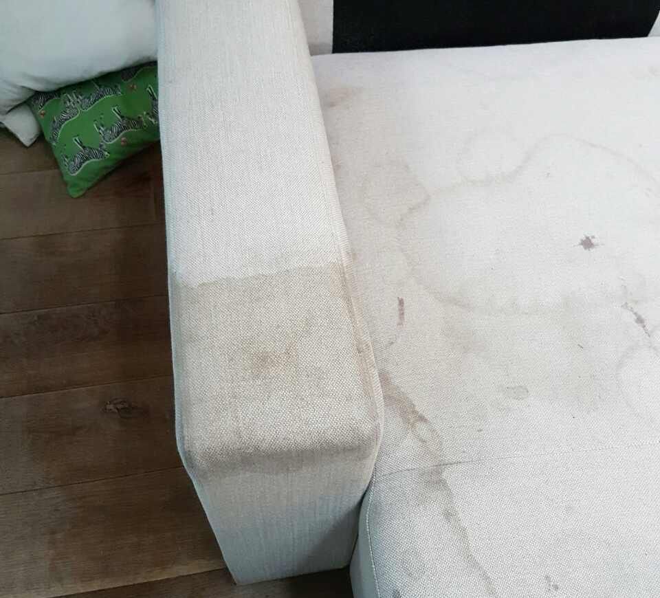 Camden deep cleaning NW1