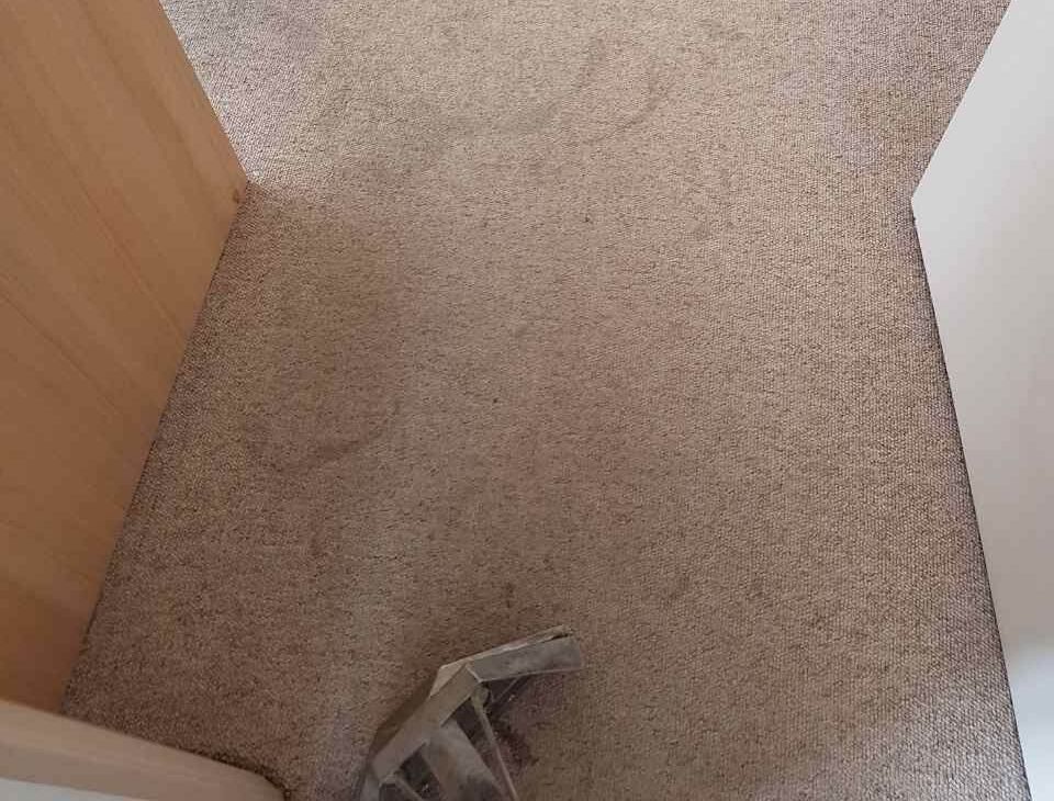 professional house cleaning SE6