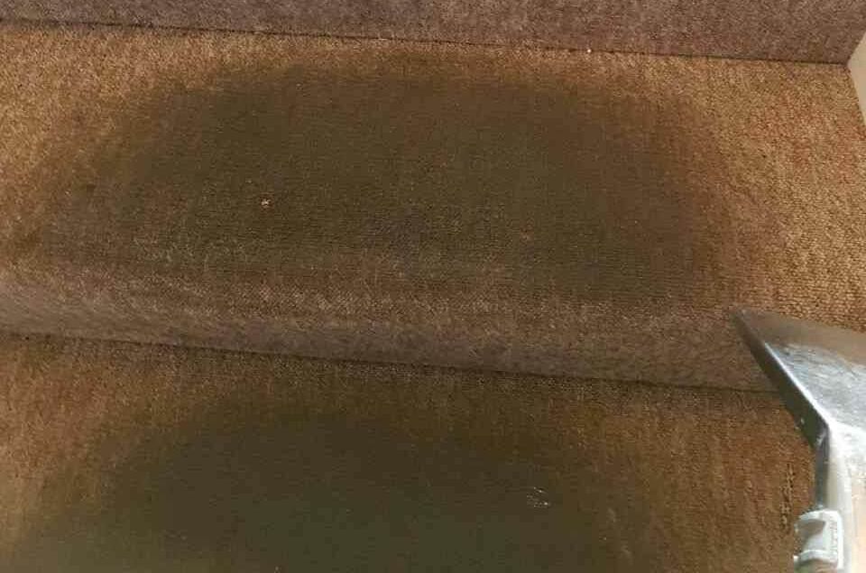 Clapham floor cleaning SW12