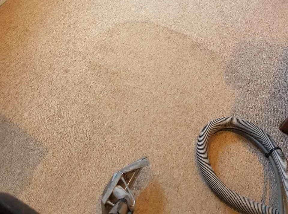 N4 carpet cleaners Finsbury Park
