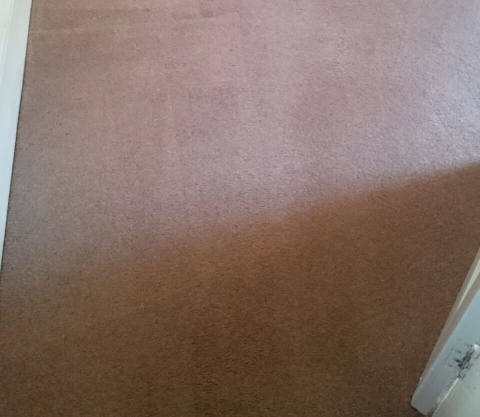 Petts Wood floor cleaning BR5