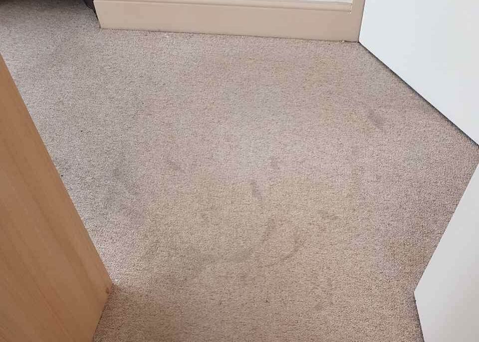 SW15 rug cleaner Roehampton