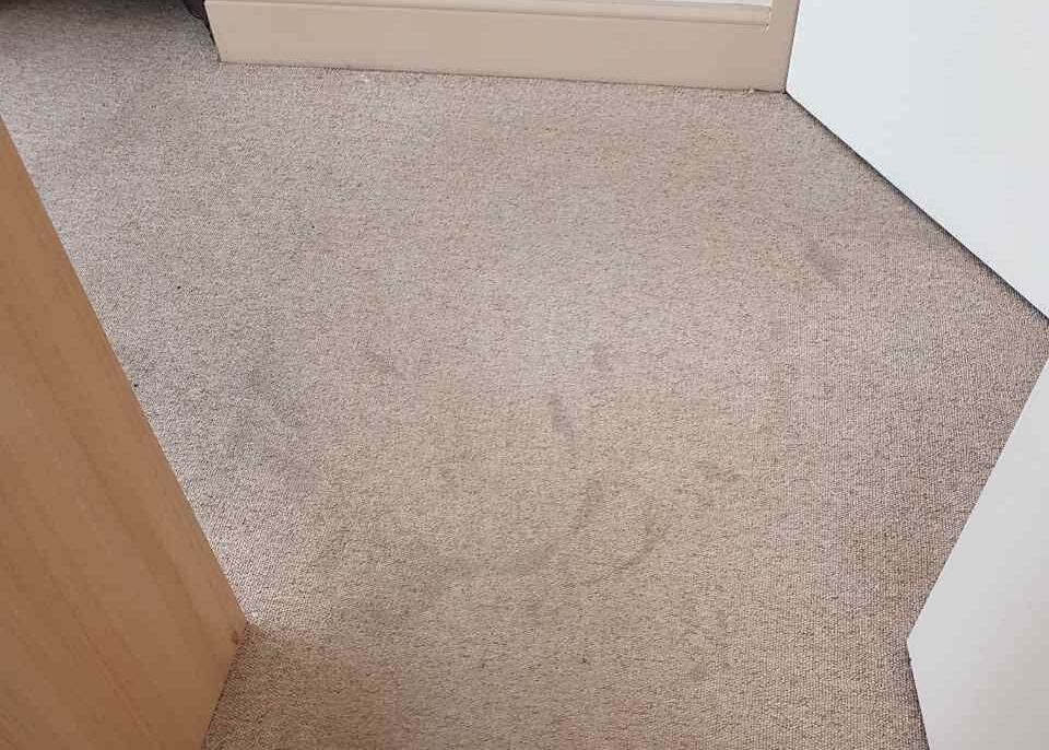office carpet cleaners E1