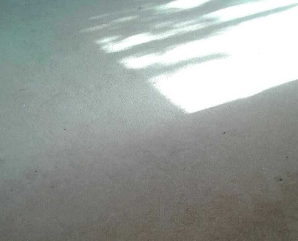 CR7 carpet cleaners Thornton Heath