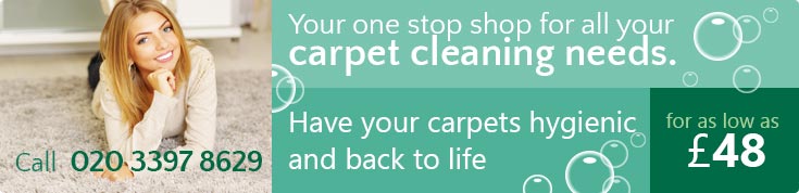 E14 Steam and Carpet Cleaners Rental Prices Cubitt Town